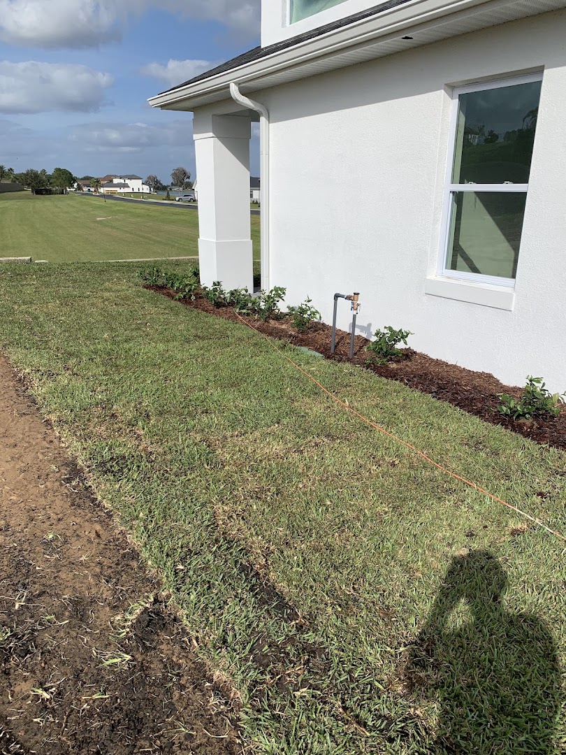 Recent project