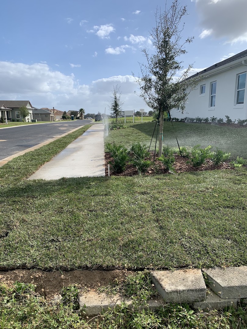 Recent project
